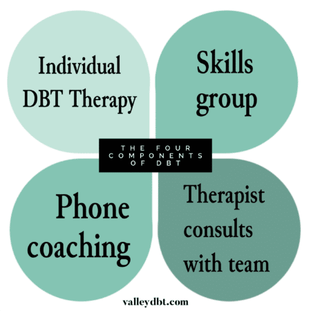 Guide to DBT