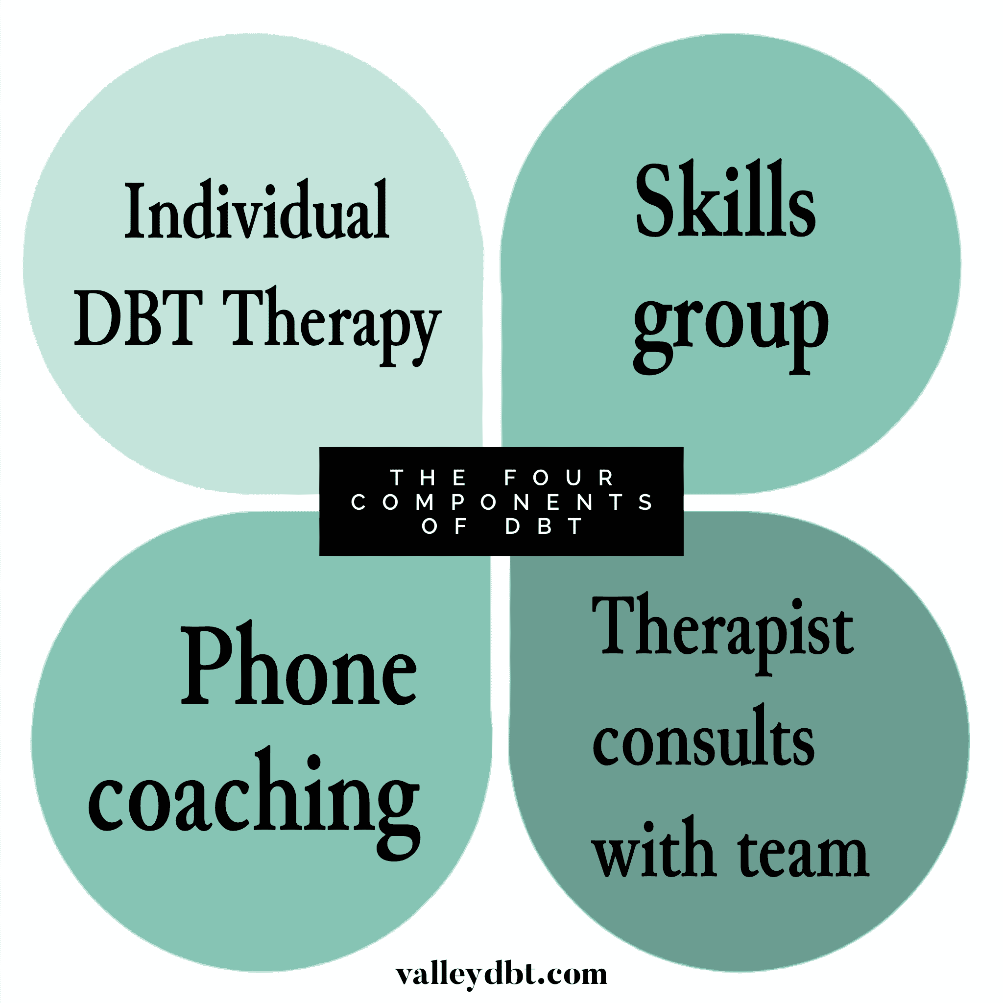 The Structure: Dialectical Behavioral Therapy DBT Treatment